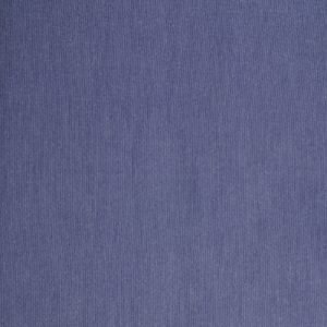 Blue Cotton Chambray