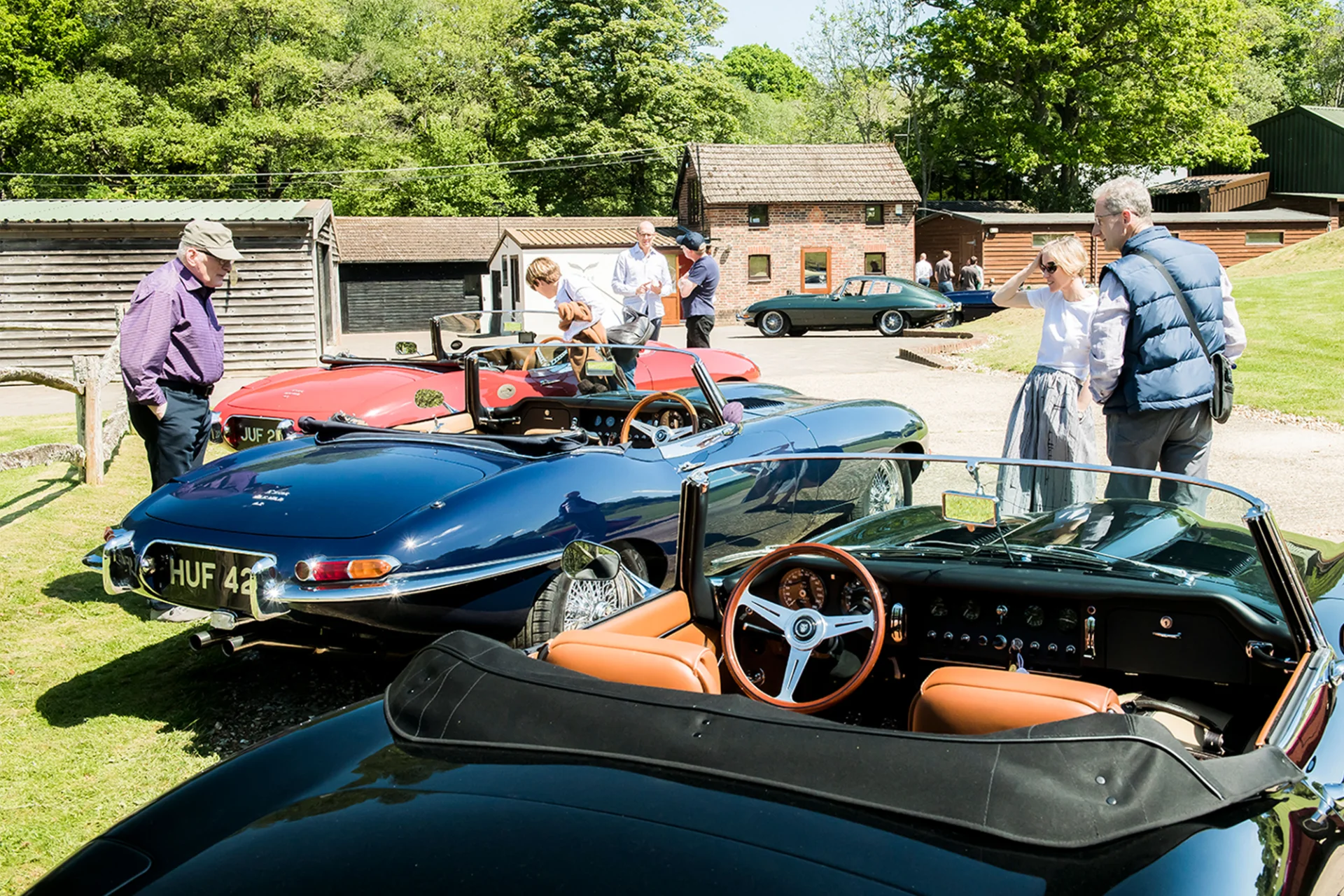 temp_image__0018_Layer 4